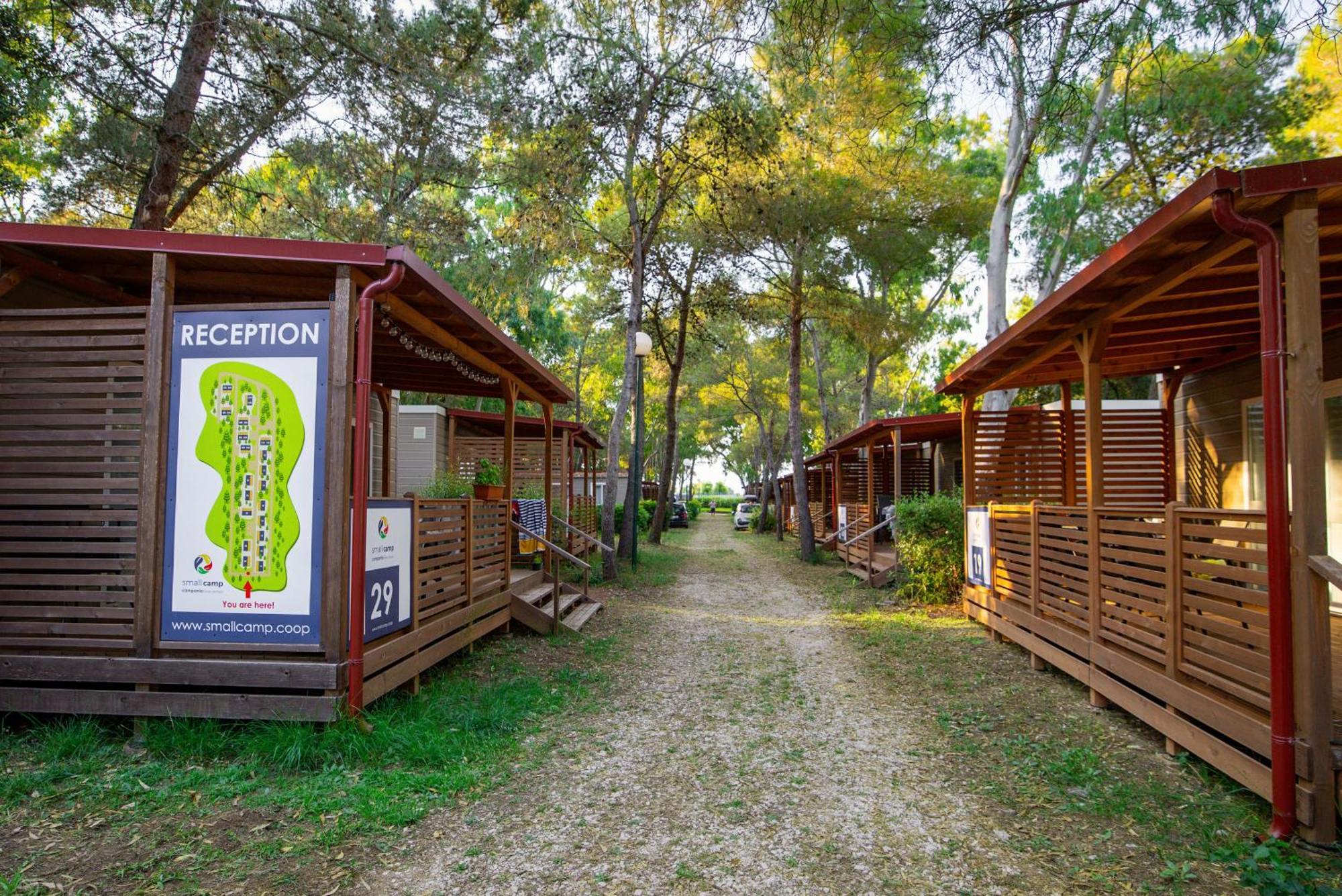 Small Camp Kr Vip Full Service *